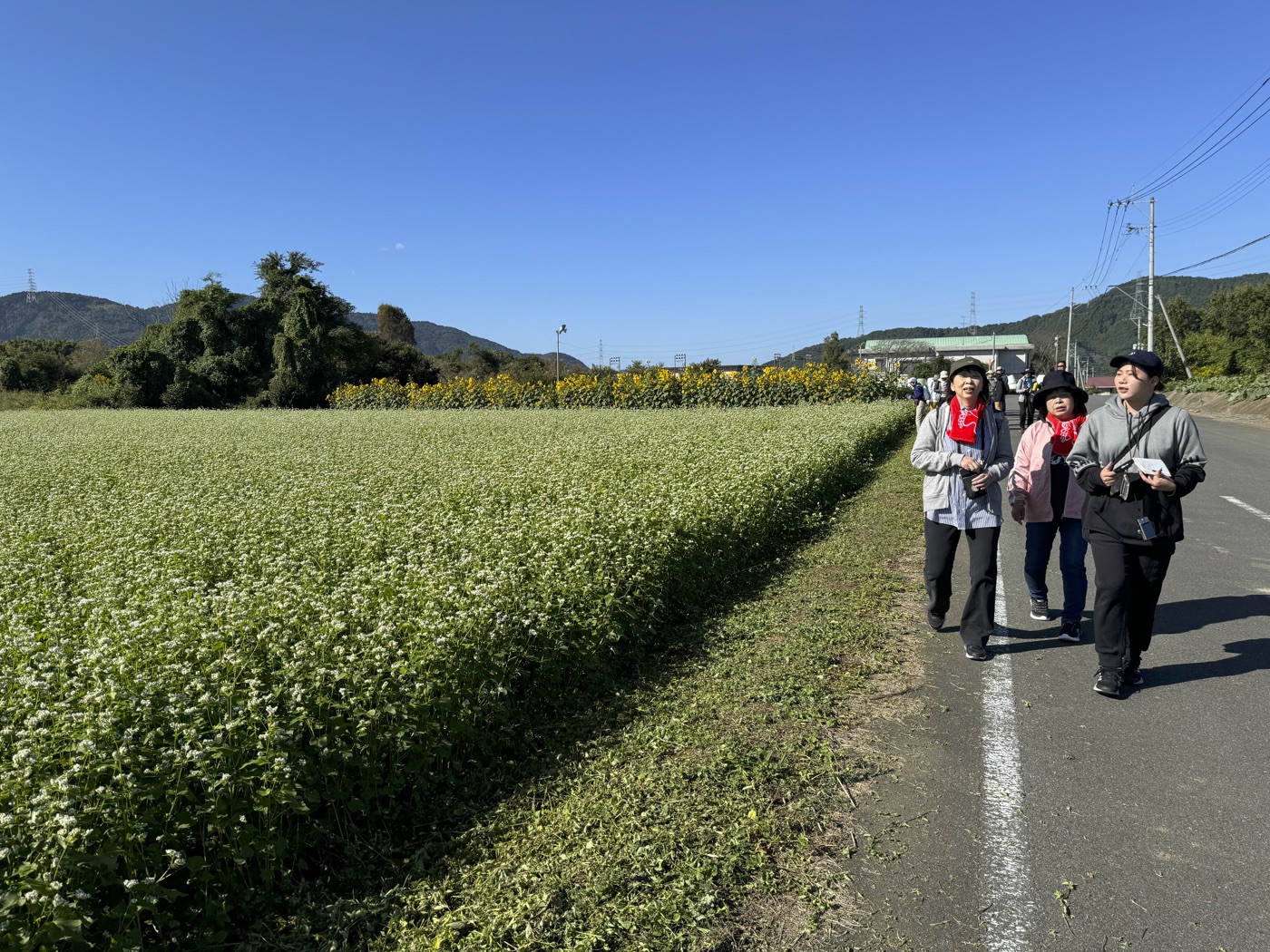 高木台地コース の風景