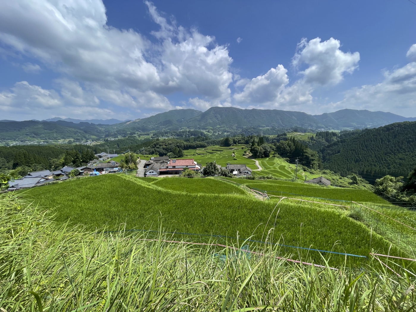 夏水コース の風景